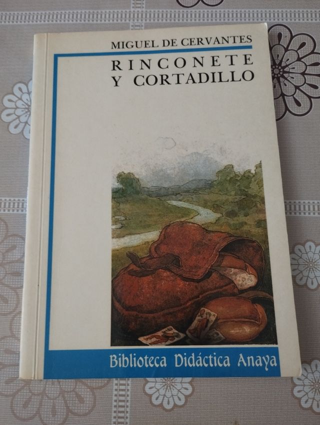 Rinconete y Cortadillo (Biblioteca Didactica An...