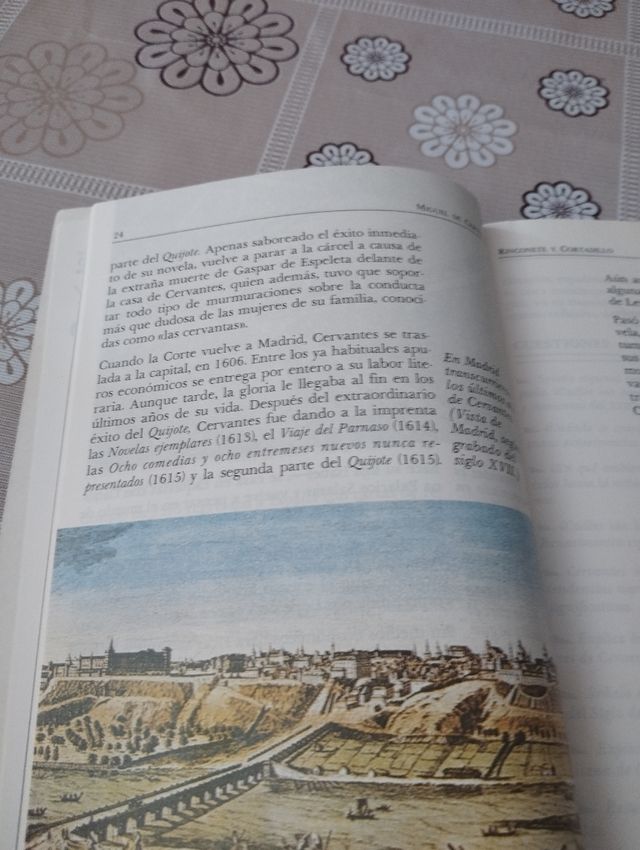 Rinconete y Cortadillo (Biblioteca Didactica An...