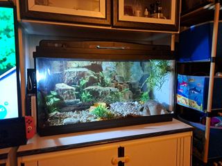 Terrario para reptiles