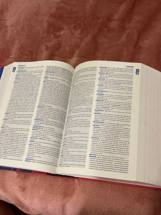 Diccionario de Secundaria y Bachillerato (Spani...