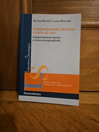 Governare la democrazia: Problemi della rappres...