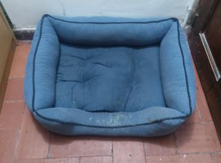 Cama para perro 65x50 cm - gratis
