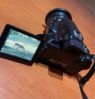 Camara nikon p950