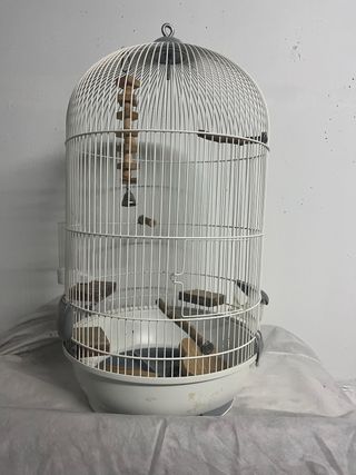Jaula para pájaros con accesorios