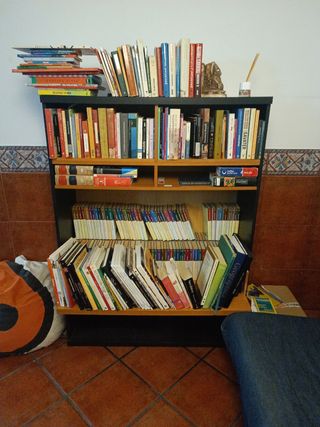 Mueble TV y Librería Negro/Marrón