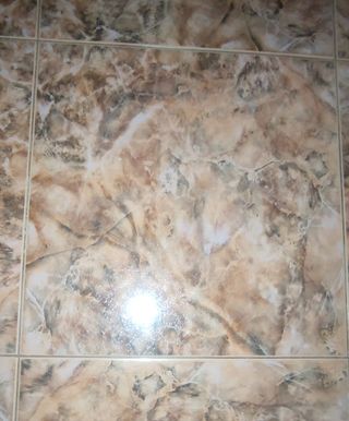Azulejos para el suelo