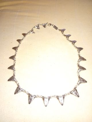 Collar de plata con dientes de tiburón