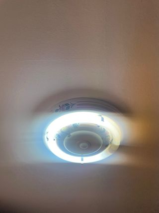 Plafón de techo decorado