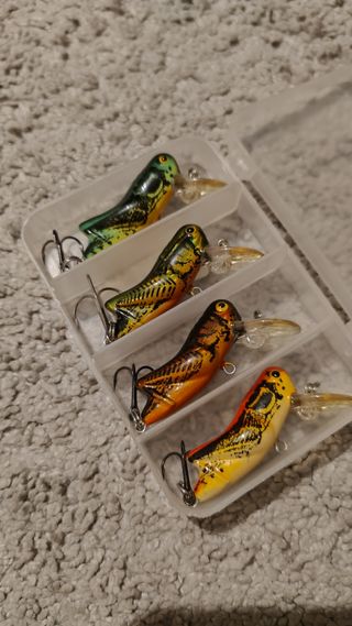 4 Esche da pesca Rebel crickhopper