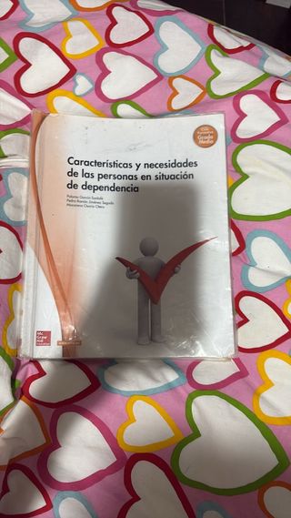Caracteristicas de las personas en situación de dp