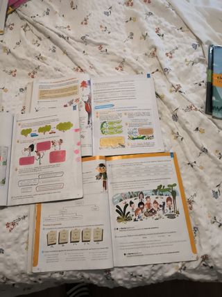 Lengua. 4 Primaria. Savia