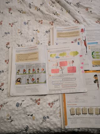 Lengua. 4 Primaria. Savia