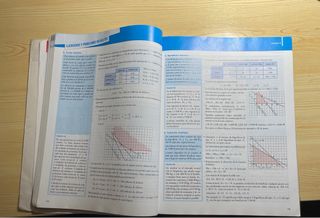 Matemáticas aplicadas a las Ciencias Sociales II
