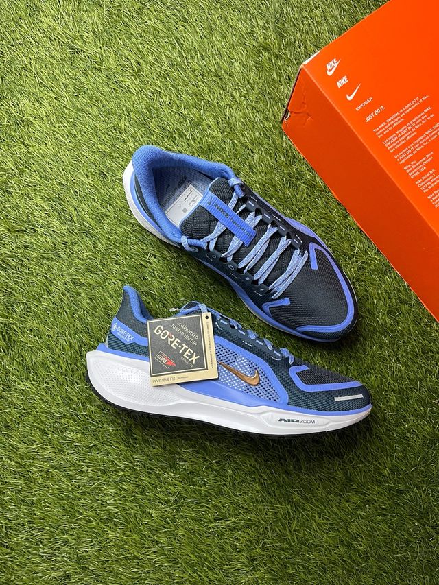 Nike Air Zoom Pegasus 41 GTX / Azul