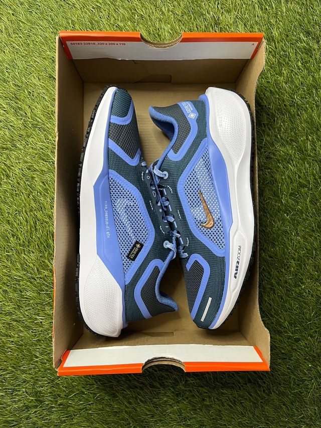 Nike Air Zoom Pegasus 41 GTX / Azul
