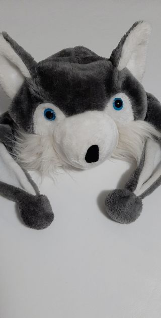 Gorro invierno perro Husky