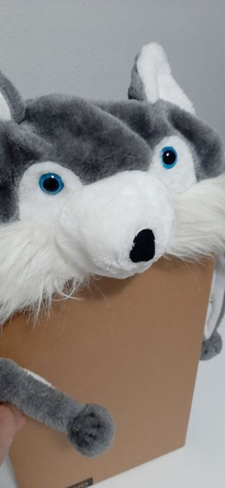 Gorro invierno perro Husky