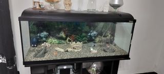 Acquario completo con accessori
