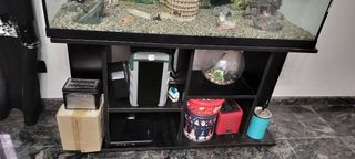 Acquario completo con accessori