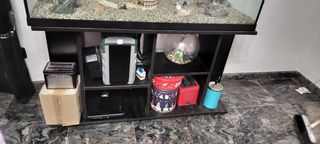 Acquario completo con accessori