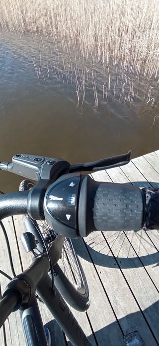 Bicicleta Batavus Stratos Royal Negra talla 57