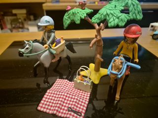 Playmobil Picnic con Caballos