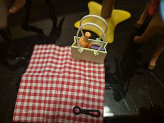 Playmobil Picnic con Caballos