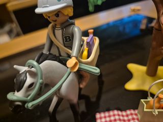 Playmobil Picnic con Caballos