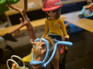 Playmobil Picnic con Caballos
