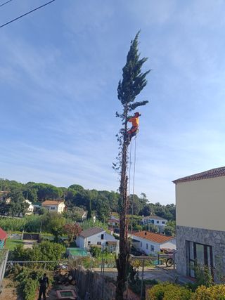 Armario