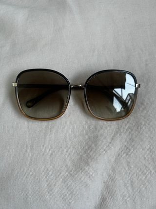 Gafas de sol Chloe negras y marrones