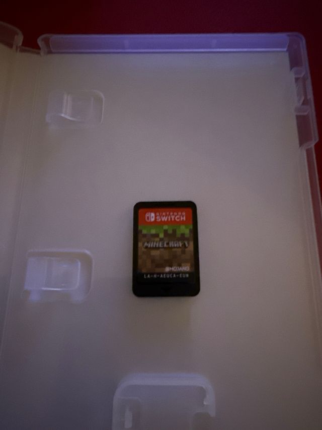 Minecraft Nintendo Switch