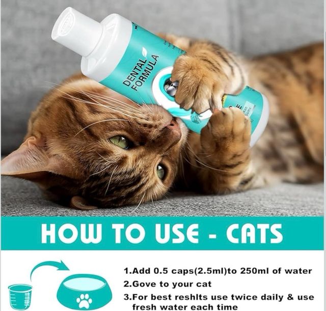 Solución Dental para Perros y Gatos