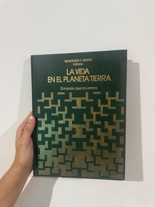 El Amor Te Vuelve Rubia / Love Turns You Blond ...