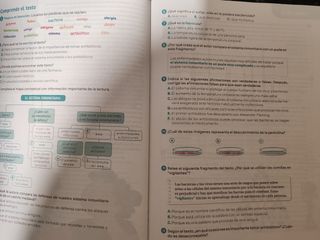 Lengua Castellana y Literatura . 6 Primaria. Tr...