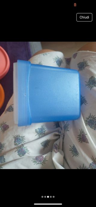 Contenitore dispensa Tupperware trasparente