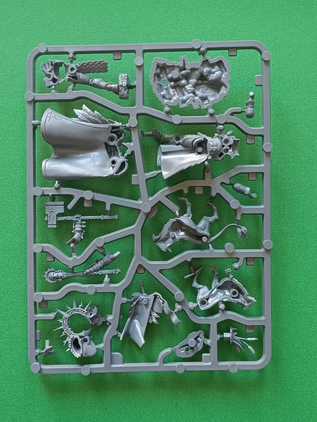 Lord Imperante con grifomastín -Stormcast eternals