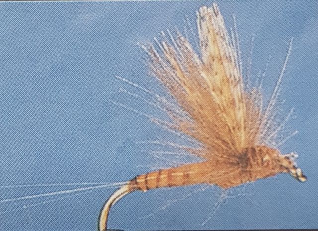 Plumas de montaje para pesca
