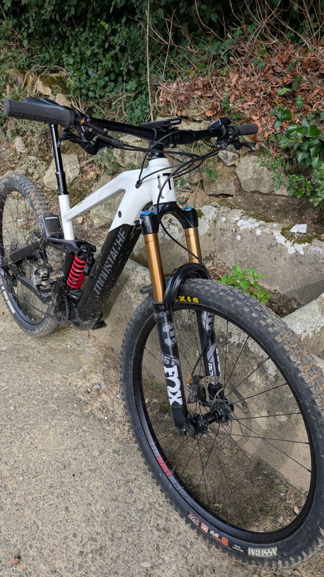 Moustache Samedi talla M 2022