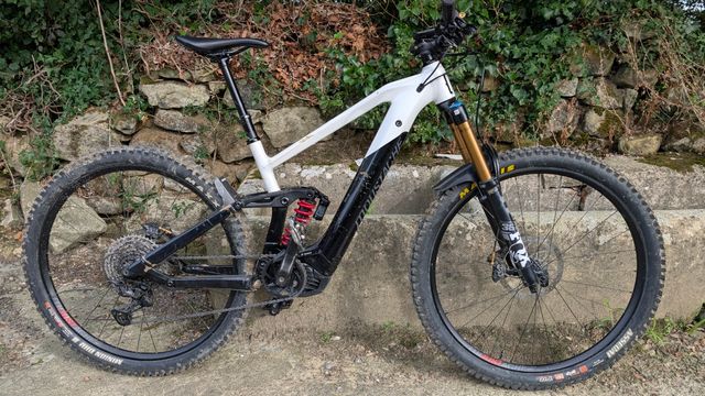 Moustache Samedi talla M 2022