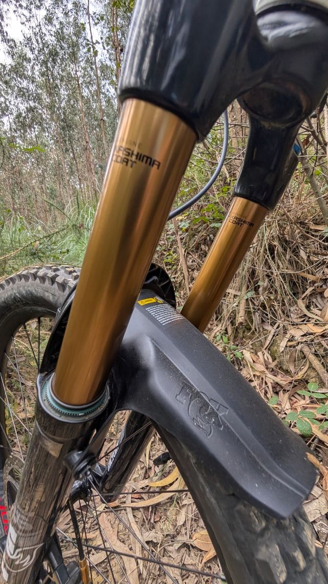 Moustache Samedi talla M 2022