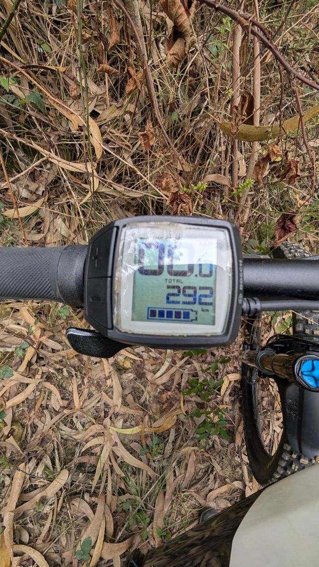 Moustache Samedi talla M 2022