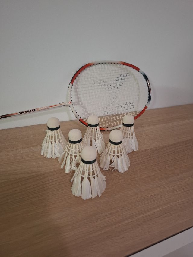 Raqueta de bádminton WIND 300