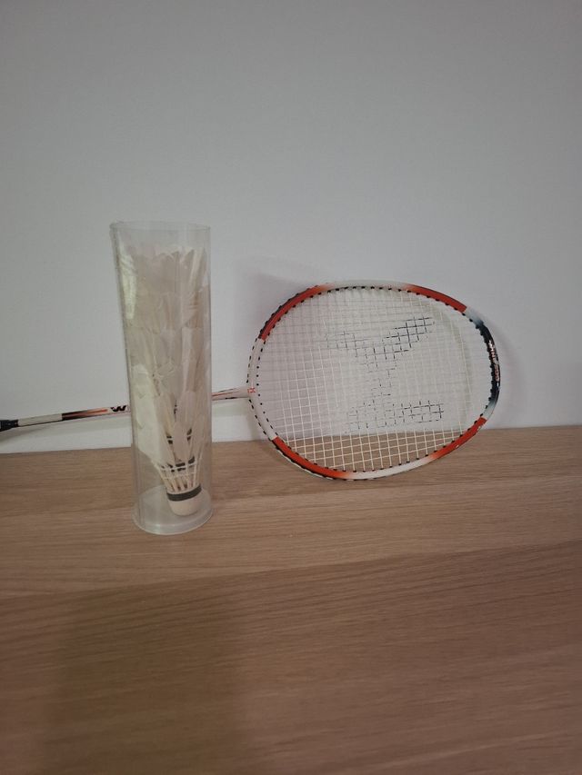 Raqueta de bádminton WIND 300