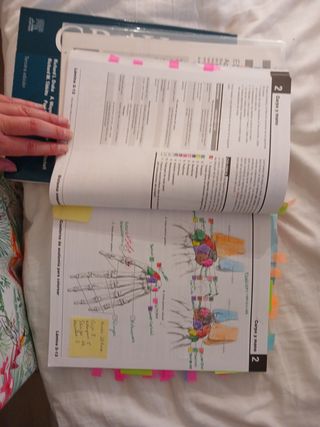 Netter. Cuaderno de anatomía para colorear + St...