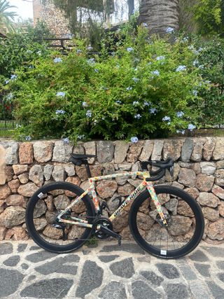 Bicicleta de carretera BRAVE RIDE Carbono talla 54