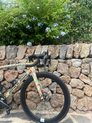 Bicicleta de carretera BRAVE RIDE Carbono talla 54