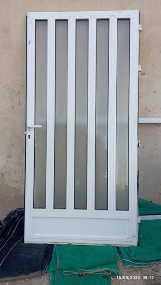 Puerta blanca con 5 paneles de cristal