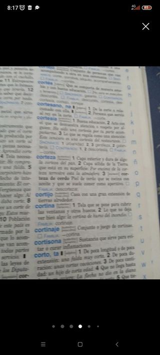 Diccionario Nivel Básico - Primaria (Spanish Ed...