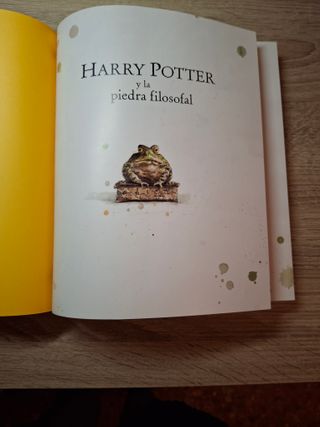 Harry Potter y la piedra filosofal (Tapa blanda...